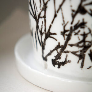 CASUS CORAL ΘΗΚΗ ΜΑΧΑΙΡΟΠΗΡΟΥΝΩΝ - Image 3